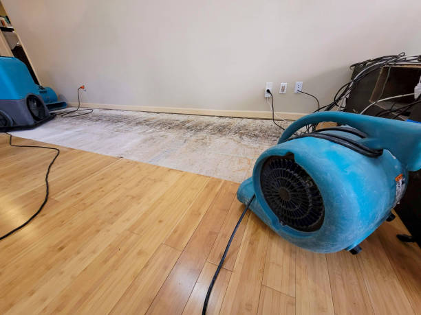 Reliable Crawl Space Water Removal contractor in West New York, NJ by Hirex Water Damage